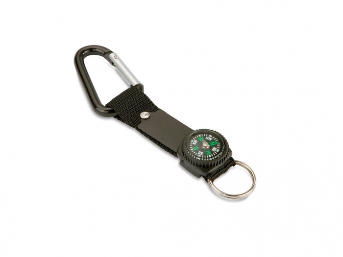 Carabiner keyring