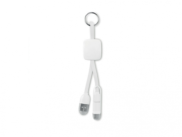 Keyring with USB type C plug