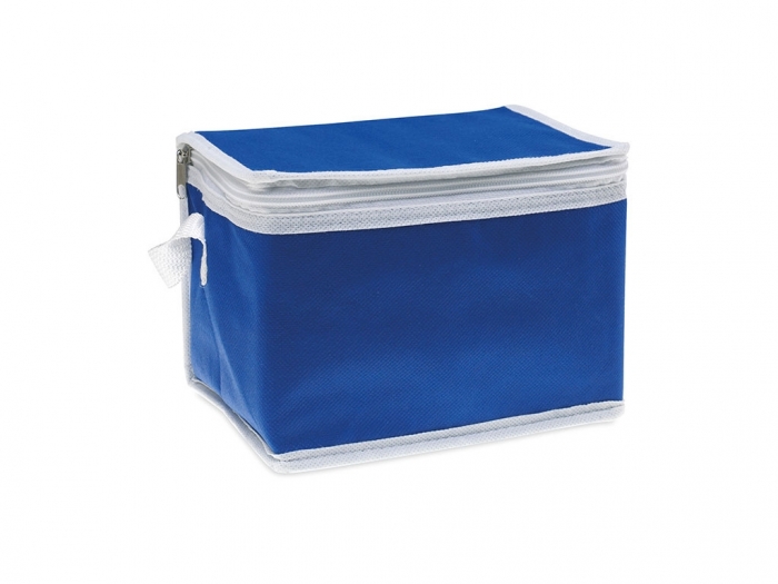 Non Woven Cooler Bag