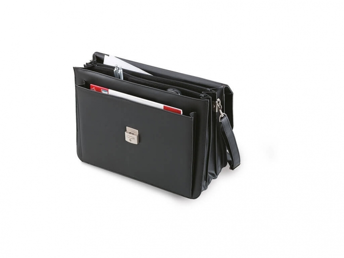 Document and laptop bag