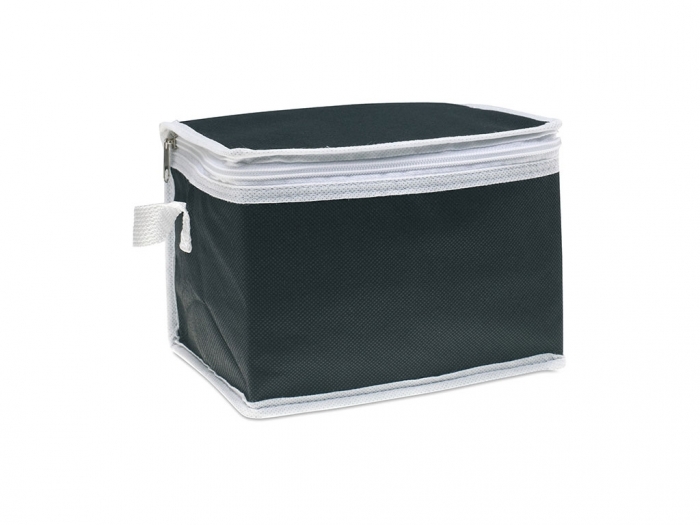 Non Woven Cooler Bag