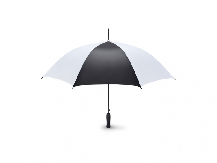 Auto open umbrella