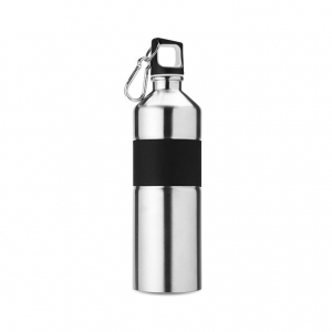 Stainless Steel Drinking Bottle