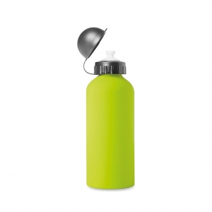 Metal Drinking bottle