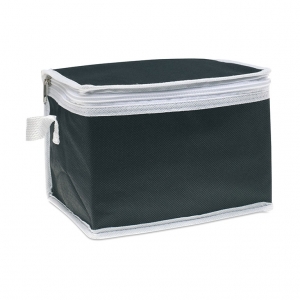 Non Woven Cooler Bag